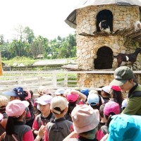 Kegiatan Field Trip Joyful K1 & Fortunate K2 ke Asia Farm